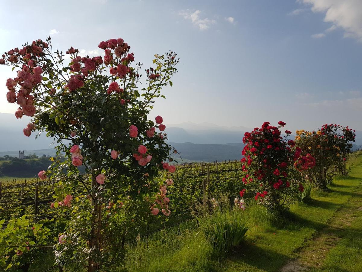 Das Matscher Residence & Garden Hotel Appiano Sulla Strada Del Vino Exterior photo