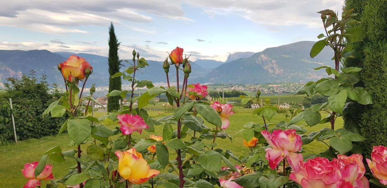 Das Matscher Residence & Garden Hotel Appiano Sulla Strada Del Vino Exterior photo