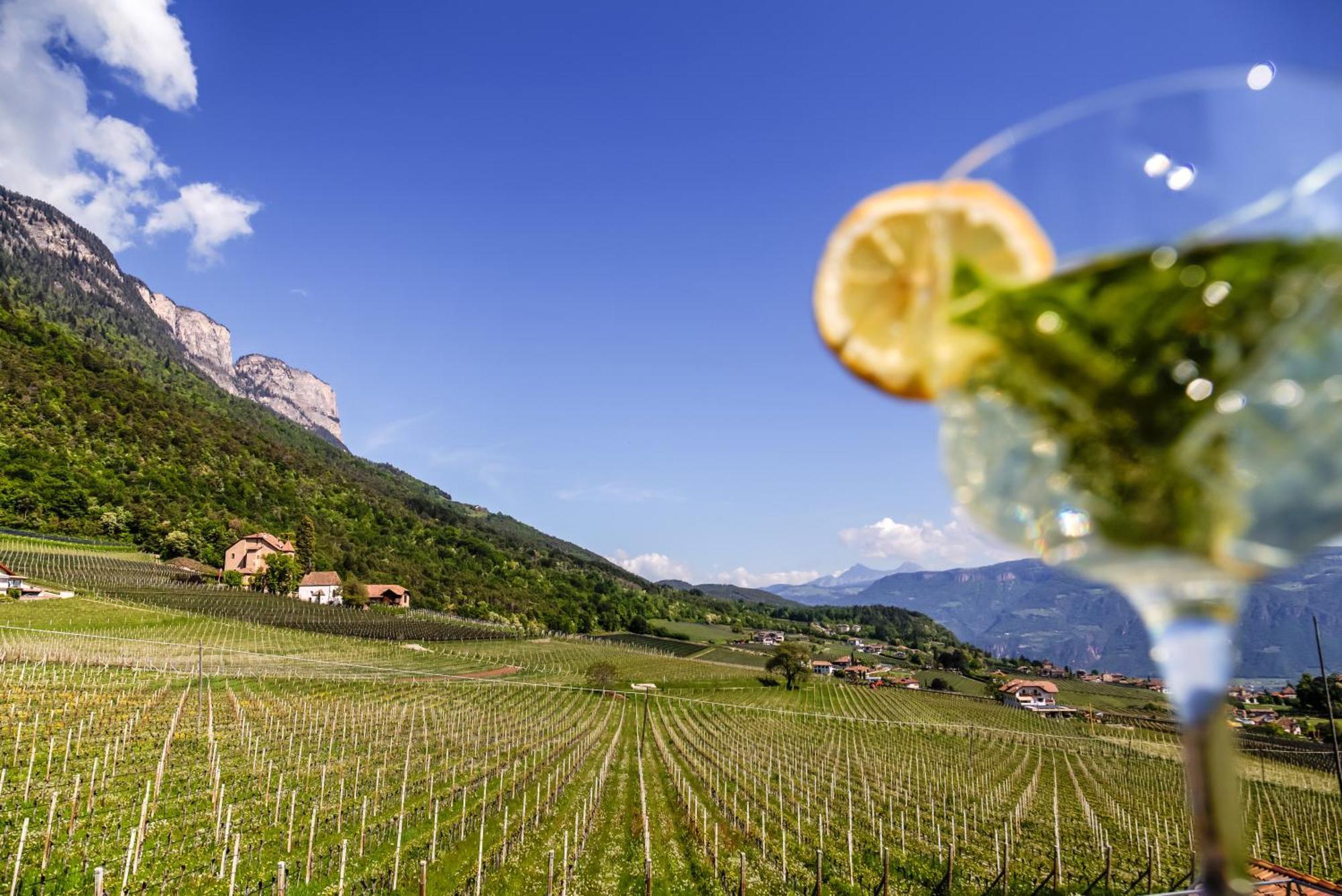 Das Matscher Residence & Garden Hotel Appiano Sulla Strada Del Vino Exterior photo