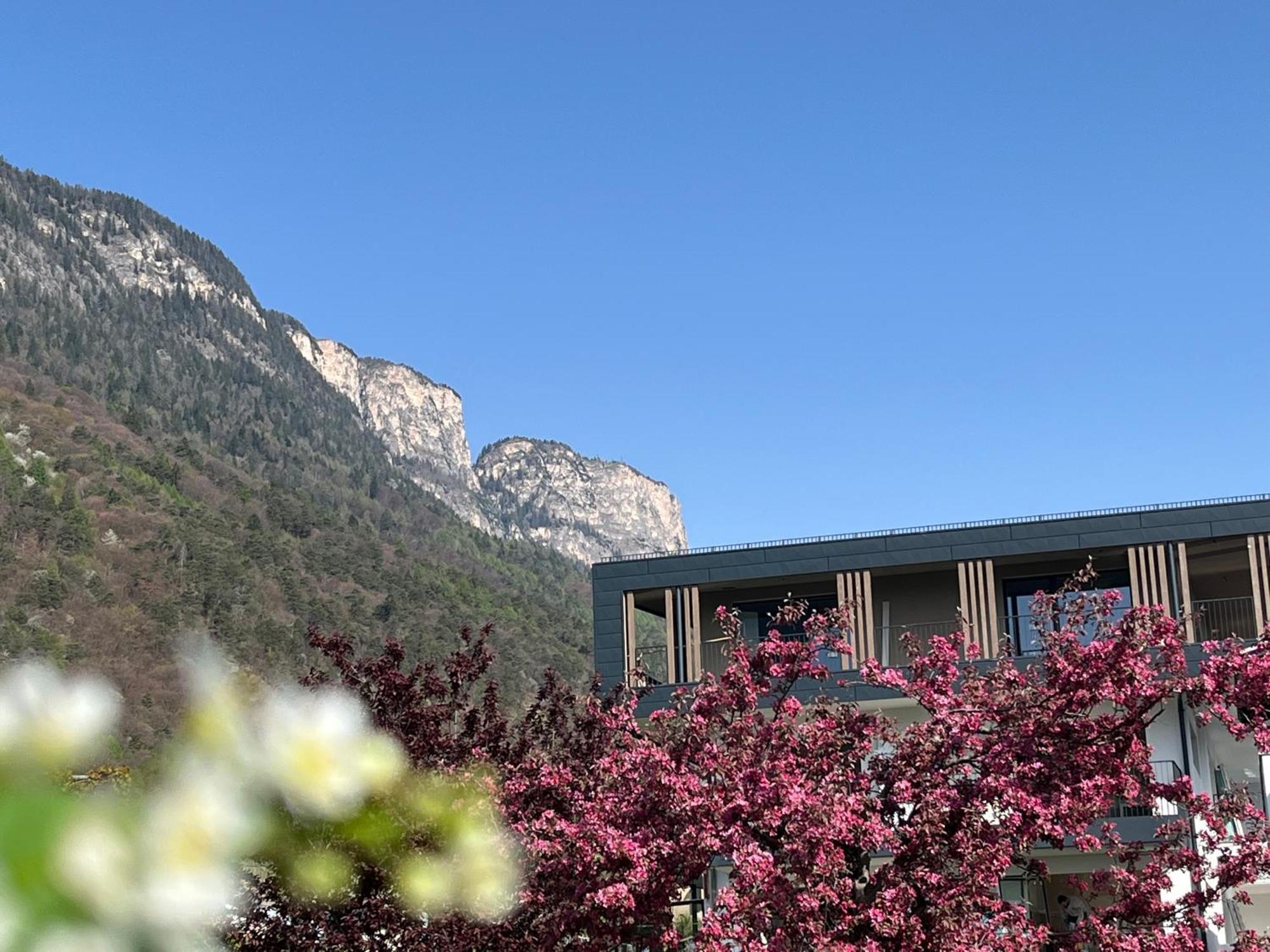 Das Matscher Residence & Garden Hotel Appiano Sulla Strada Del Vino Exterior photo