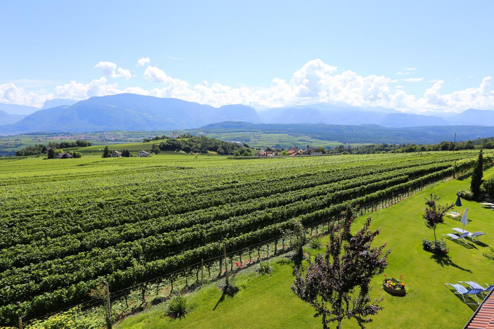 Das Matscher Residence & Garden Hotel Appiano Sulla Strada Del Vino Exterior photo